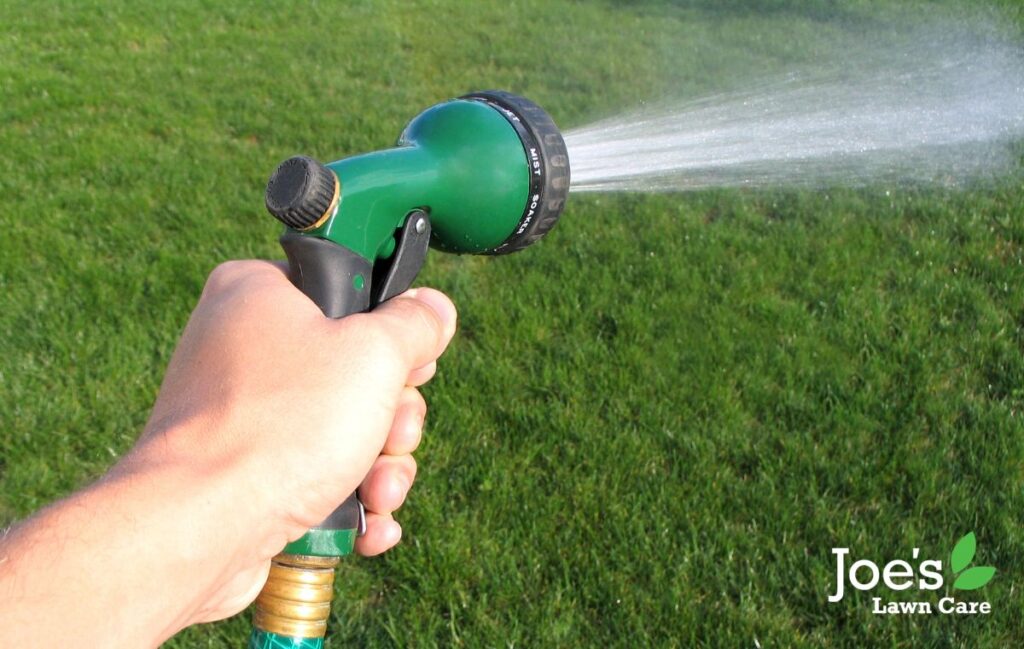 watering your lawn in a heatwave