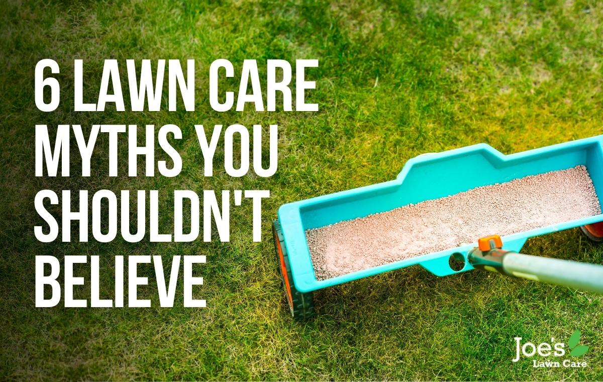 lawn care myths busted