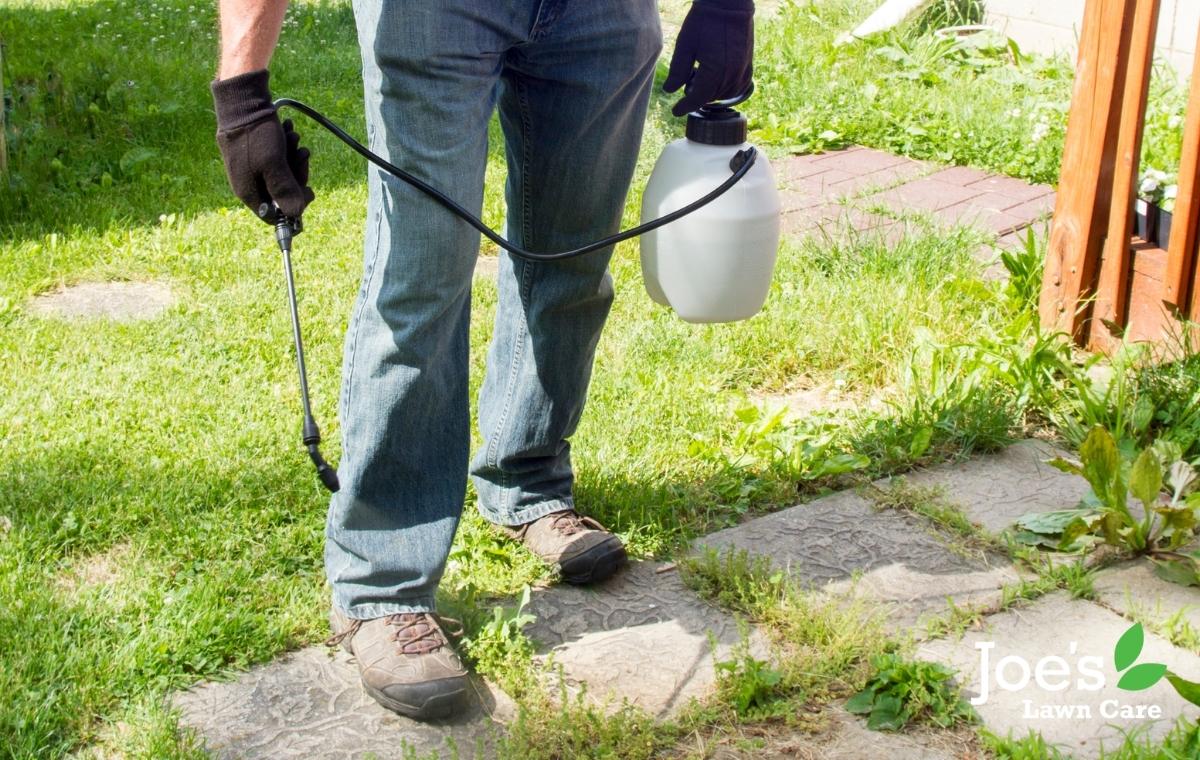 5 Ways To Remove Weeds From Your Gravel Driveway Joe's Lawn Care