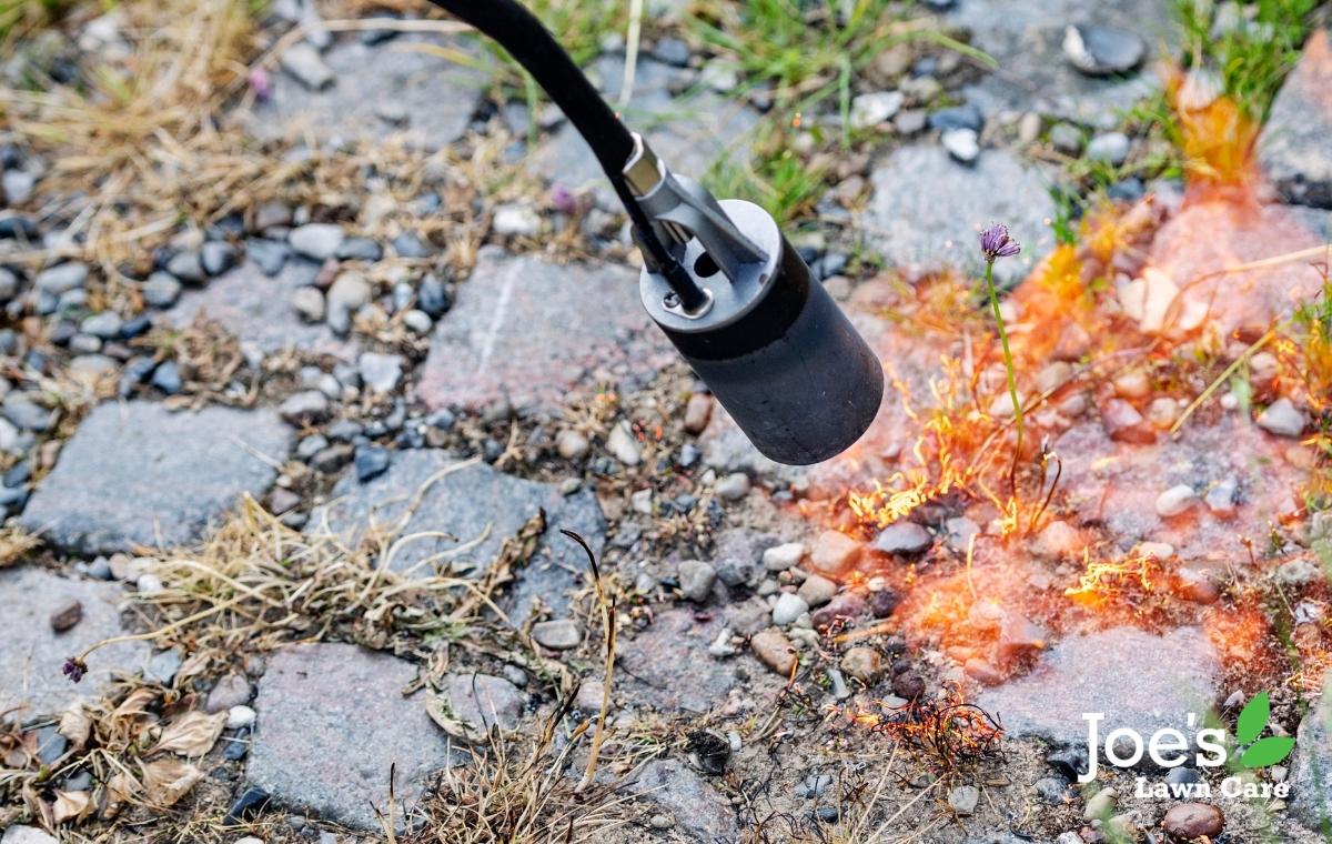 5 Ways To Remove Weeds From Your Gravel Driveway Joe's Lawn Care