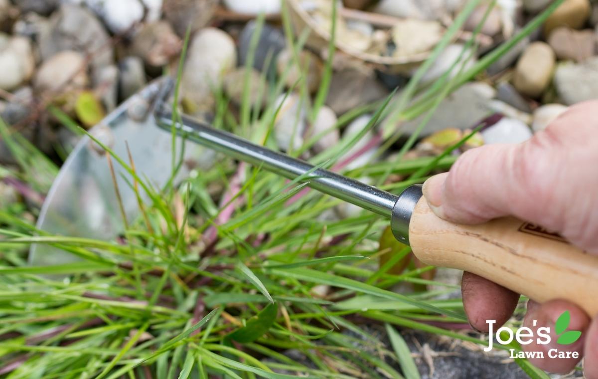 5 Ways To Remove Weeds From Your Gravel Driveway Joe's Lawn Care