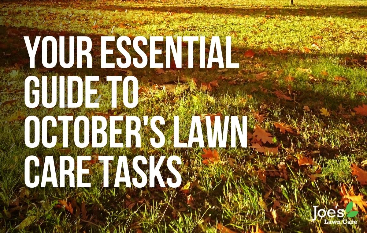 Your Essential Guide To October's Lawn Care Tasks