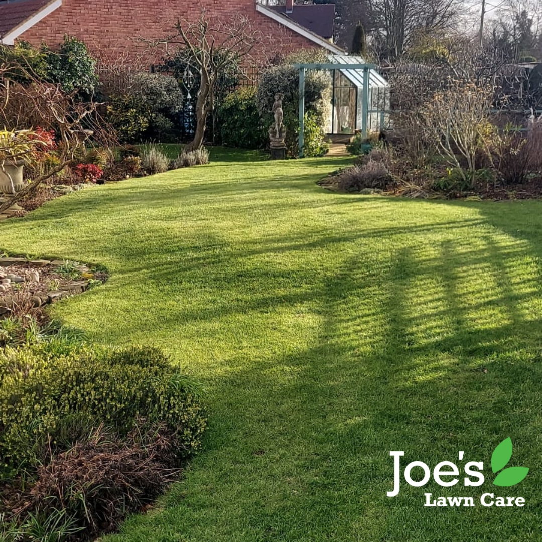 Joe's Lawn Care - customer lawn