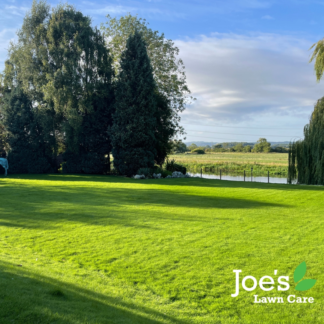 Joe's Lawn Care -customer lawns -green weed-free and healthy