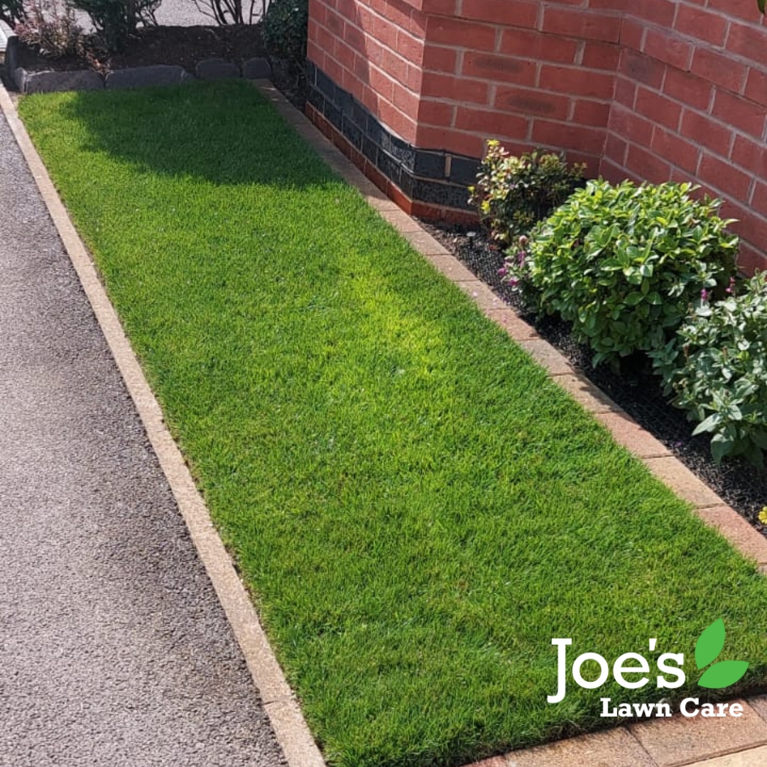 Customer Lawns at Joe's Lawn care are green, healthy and weed-free