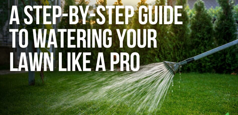 A Step By Step Guide To Watering Your Lawn Like A Pro - Joes Lawn Care Blog