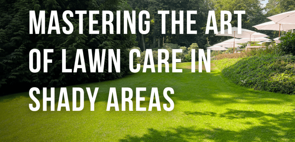 Mastering the Art of Lawn Care in Shady Areas- Joe's Diary - Joe's Lawn Care Blog Thumbnail