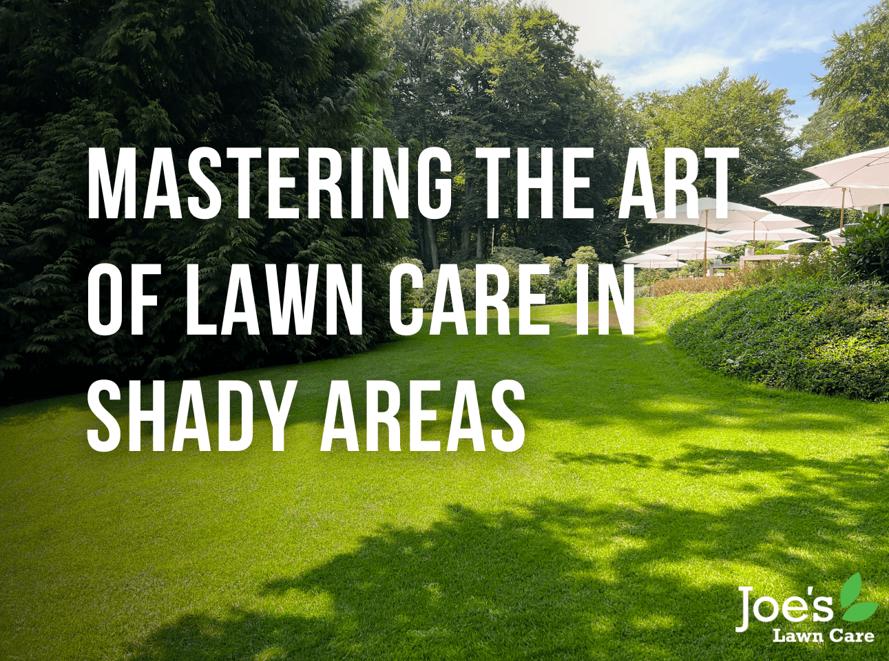 Mastering the Art of Lawn Care in Shady Areas- Joe's Diary - Joe's Lawn Care Blog Thumbnail