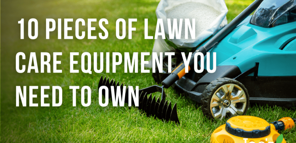 10 Pieces of Lawn Care Equipment Everyone Needs To Own - Joe's Lawn Care - Joe's Diary