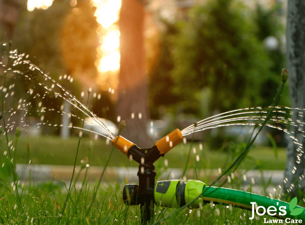 10 Pieces of Lawn Care Equipment Everyone Needs To Own - Joe's Lawn Care - Joe's Diary