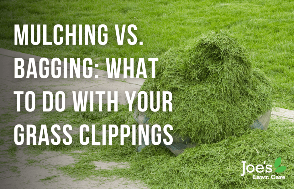 Mulching Vs. Bagging What To Do With Your Grass Clippings Joe's Lawn