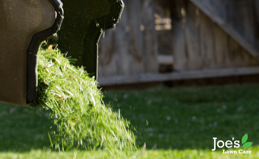 Mulching vs. Bagging: What To Do With Your Grass Clippings - Joe's Lawn Care