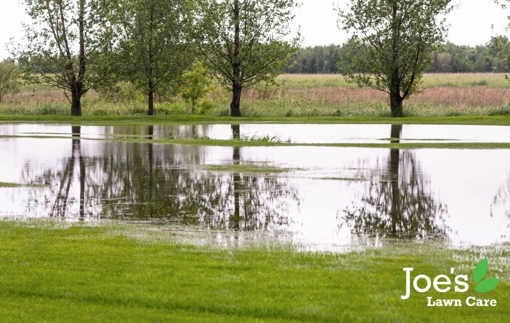 water logged lawn which would benefit from a winter aeration