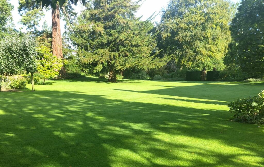 ugly lawn to one you are proud of