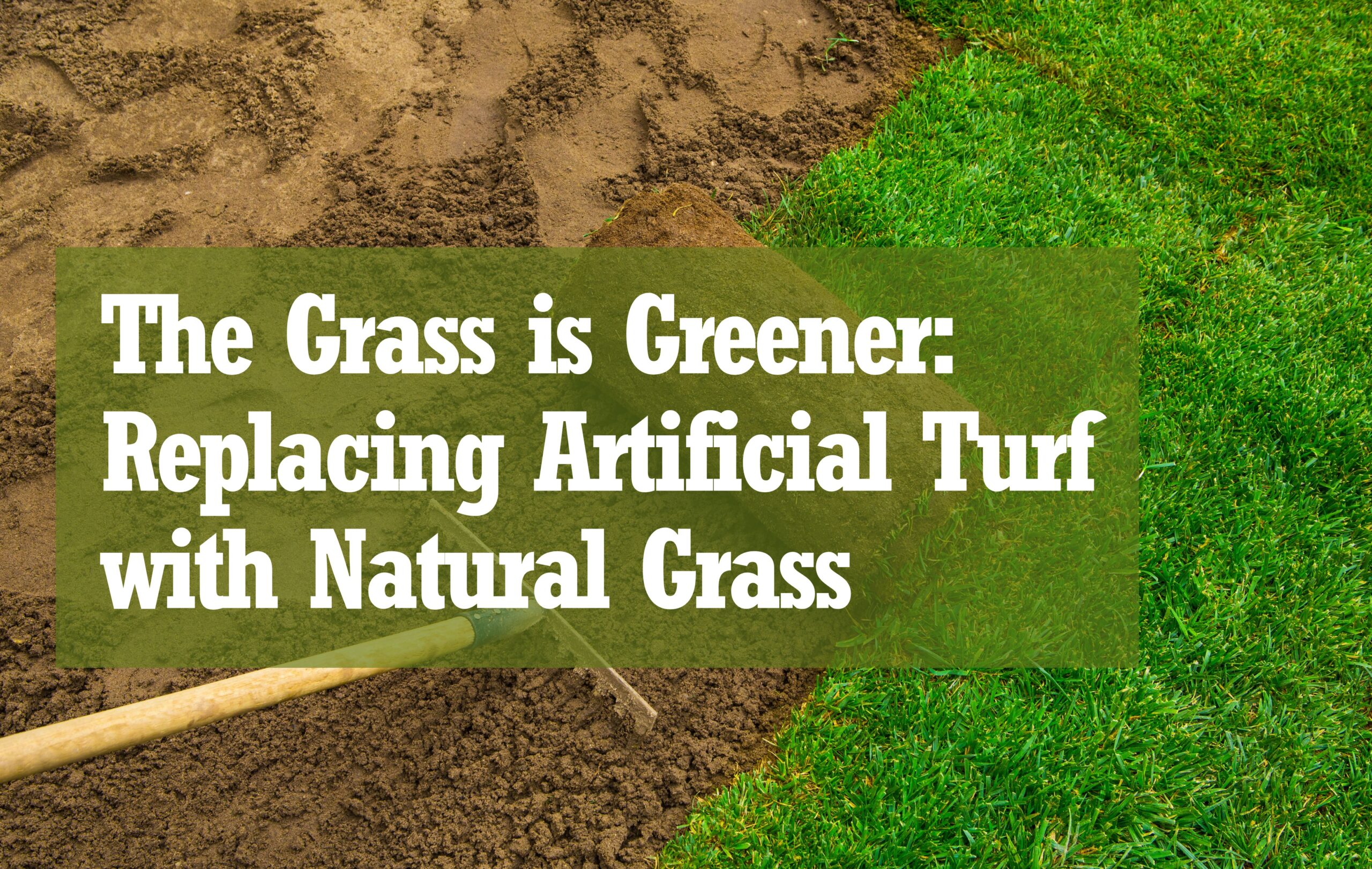 the grass is greener replacing artificial turf with natural grass