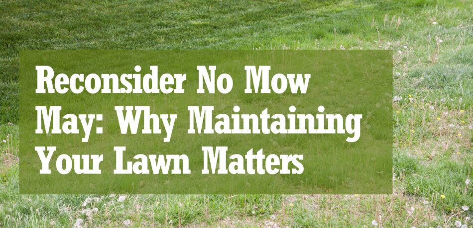 Reconsider No Mow May Why Maintaining Your Lawn Matters