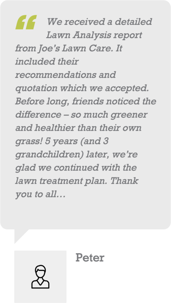 customer review