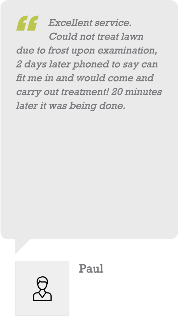 customer review
