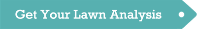 get-your-lawn-analysis